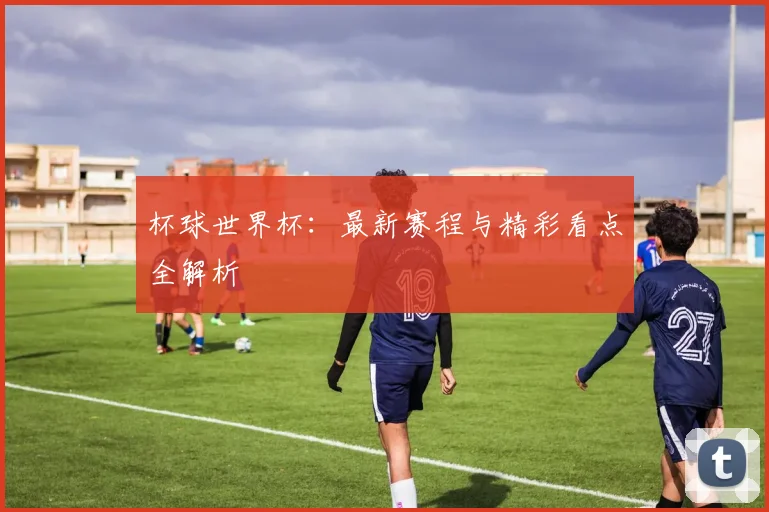 杯球世界杯：最新赛程与精彩看点全解析